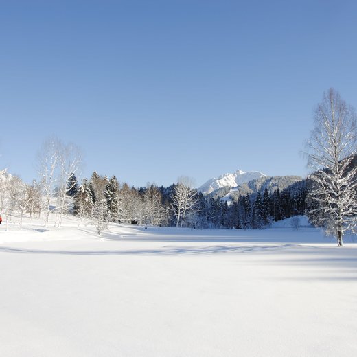 Fieberbrunn Lauchsee Winter | © TVB PillerseeTal