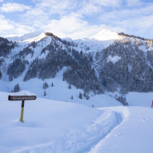 Zillstattweg winter panorama | © TVB PillerseeTal