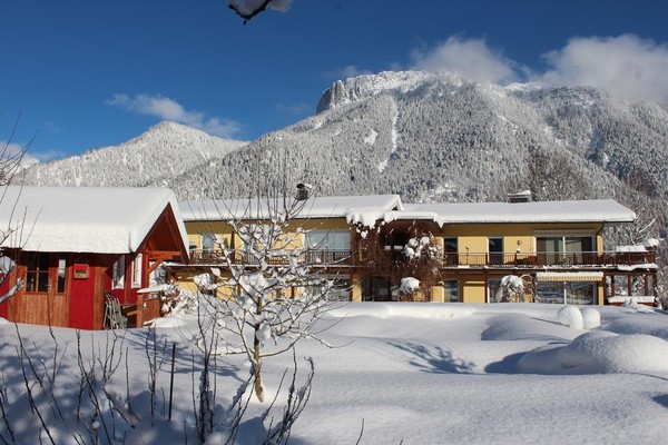 Apartment Steinplatte Tirol Winter | © Apartment Steinplatte Tirol