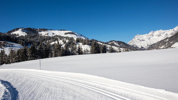 Blick Buchensteinwand