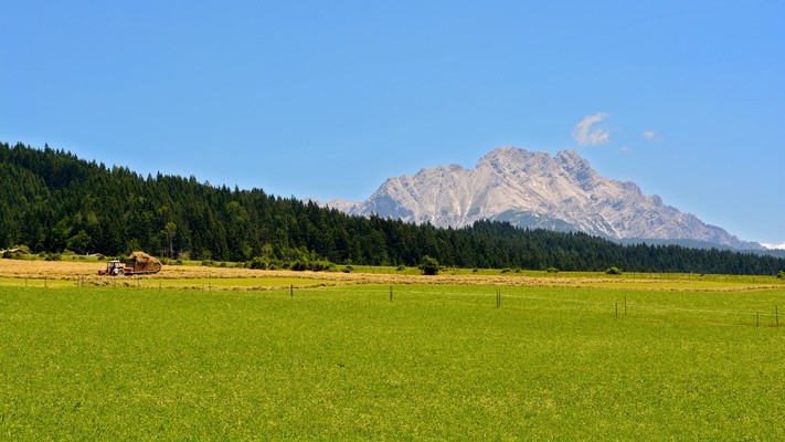 Bauernhaus Ausblick Steinberge