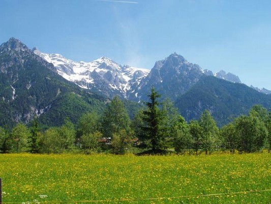 Ausblick im Sommer