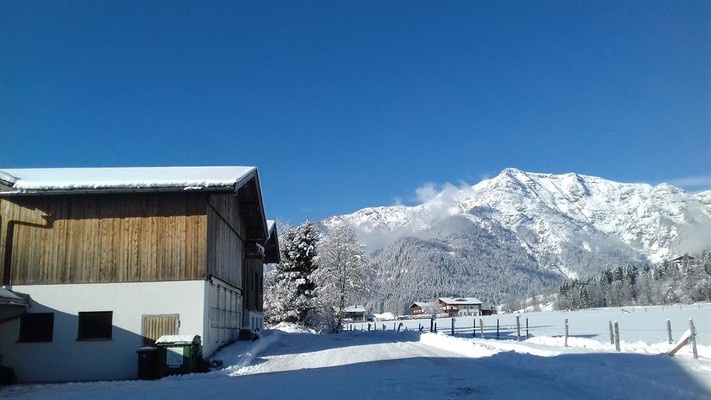 Stall mit Blick auf Fellhorn