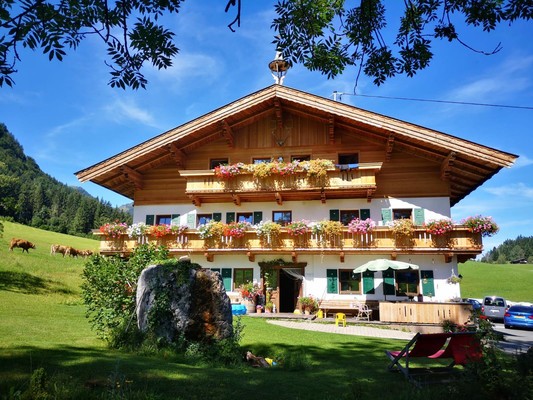 Bauernhof Schweinesten im Sommer