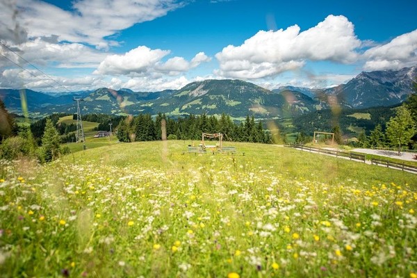 Erholung inmitten herrlicher Natur